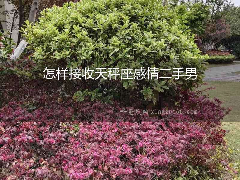 怎樣接收天秤座感情二手男