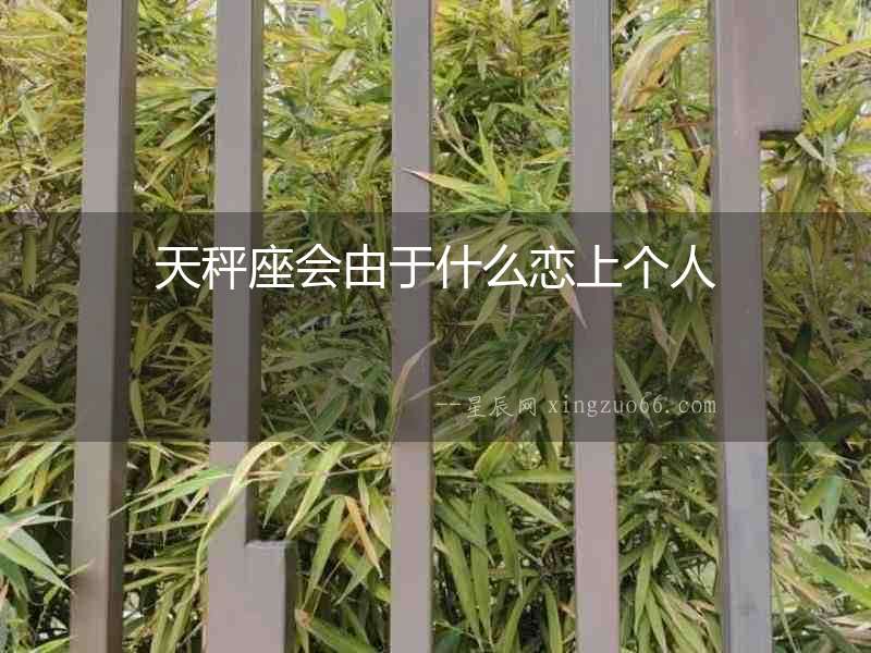 天秤座會由于什么戀上個人