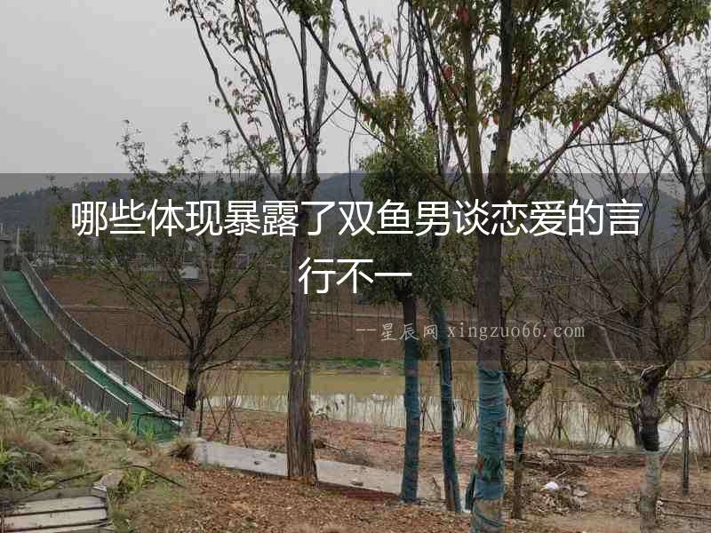 哪些體現暴露了雙魚男談戀愛的言行不一