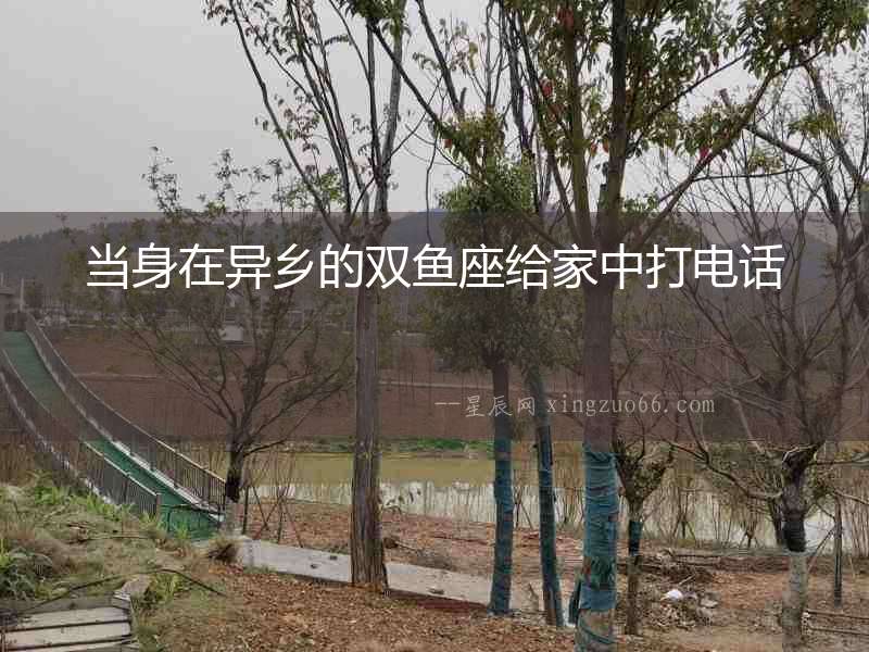 當身在異鄉的雙魚座給家中打電話