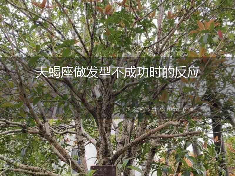 天蝎座做發(fā)型不成功時的反應