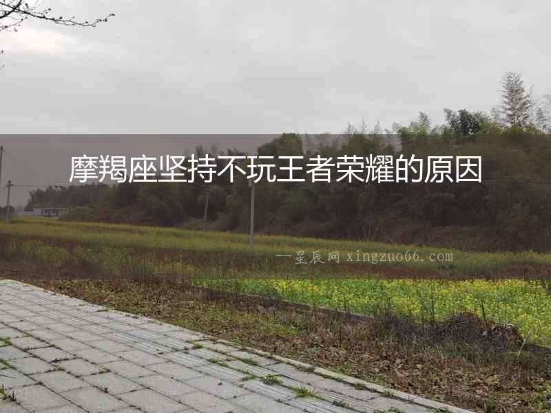 摩羯座堅(jiān)持不玩王者榮耀的原因