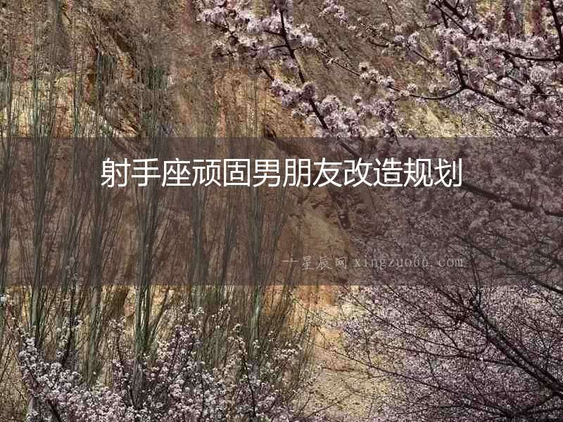 射手座頑固男朋友改造規(guī)劃