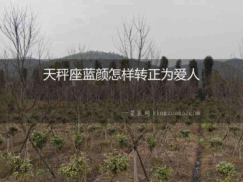天秤座藍(lán)顏怎樣轉(zhuǎn)正為愛(ài)人