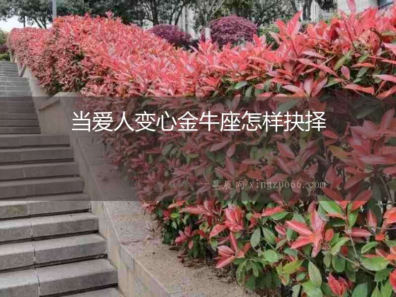 當愛人變心金牛座怎樣抉擇