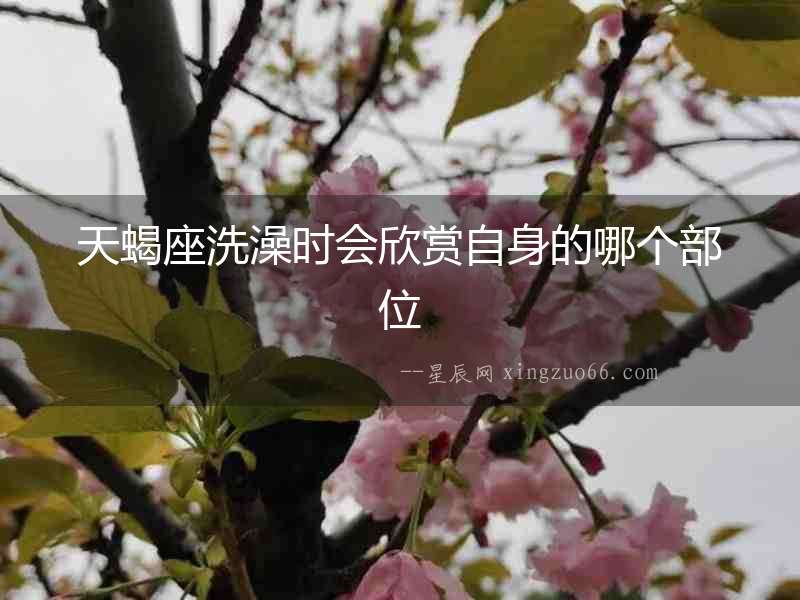 天蝎座洗澡時會欣賞自身的哪個部位