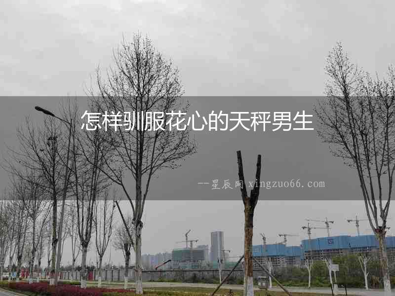怎樣馴服花心的天秤男生