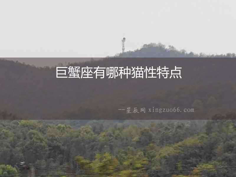 巨蟹座有哪種貓性特點(diǎn)