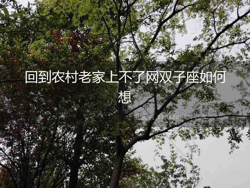回到農(nóng)村老家上不了網(wǎng)雙子座如何想