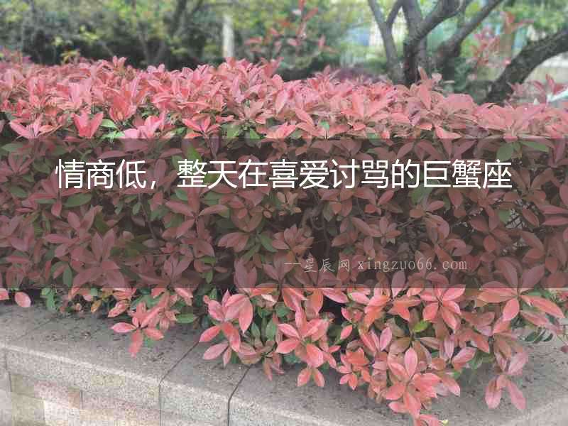 情商低，整天在喜愛(ài)討罵的巨蟹座