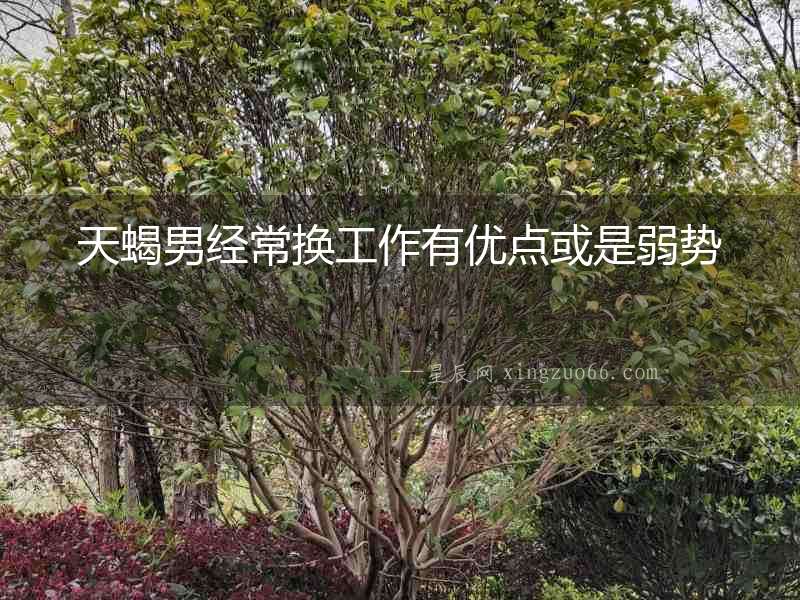 天蝎男經(jīng)常換工作有優(yōu)點(diǎn)或是弱勢(shì)