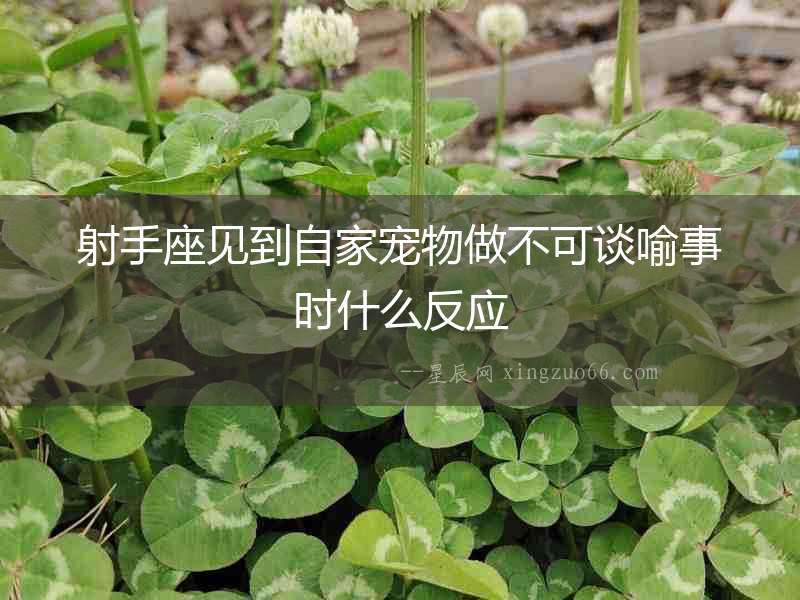 射手座見到自家寵物做不可談喻事時什么反應