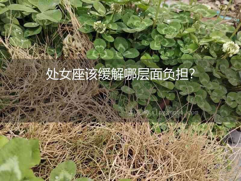 處女座該緩解哪層面負擔？