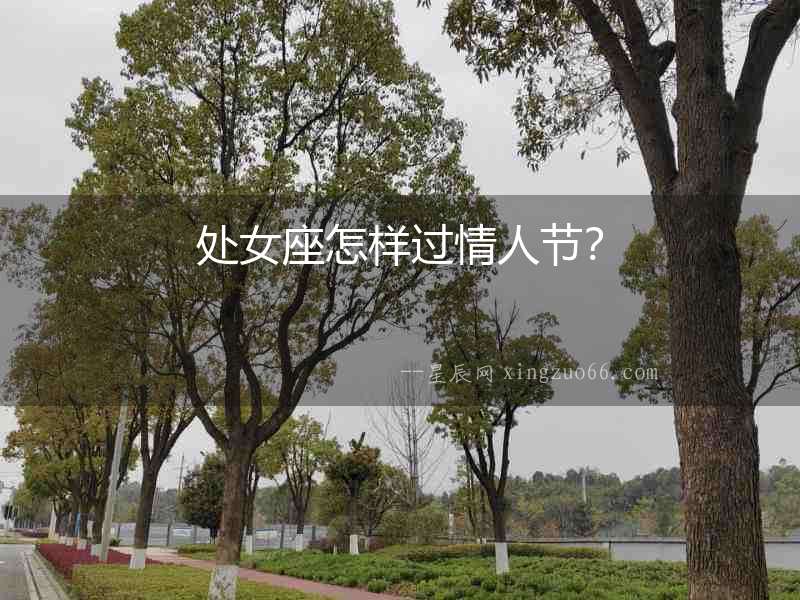 處女座怎樣過情人節(jié)？