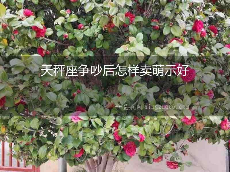 天秤座爭(zhēng)吵后怎樣賣(mài)萌示好