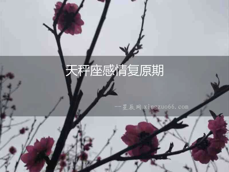 天秤座感情復原期