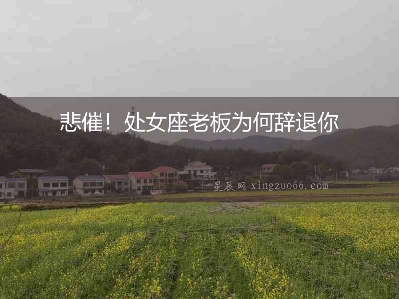 悲催！處女座老板為何辭退你