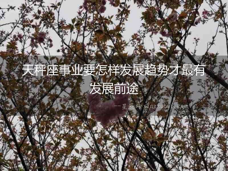天秤座事業要怎樣發展趨勢才最有發展前途