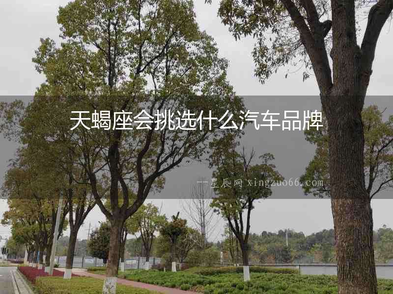 天蝎座會挑選什么汽車品牌