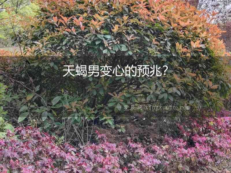 天蝎男變心的預兆？
