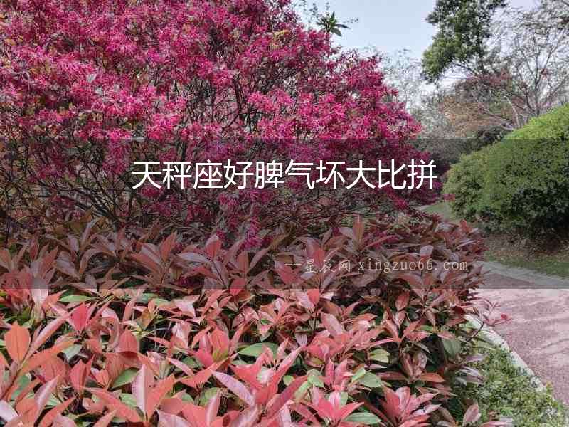 天秤座好脾氣壞大比拼