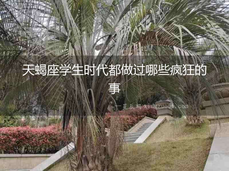 天蝎座學(xué)生時(shí)代都做過哪些瘋狂的事