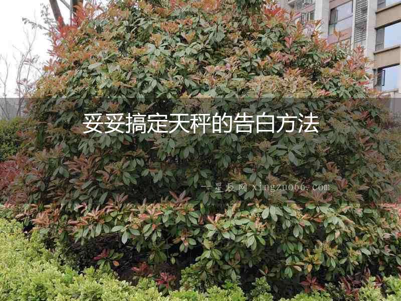 妥妥搞定天秤的告白方法