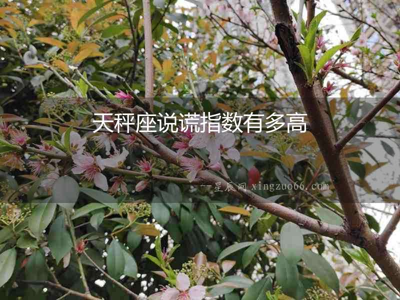 天秤座說(shuō)謊指數(shù)有多高