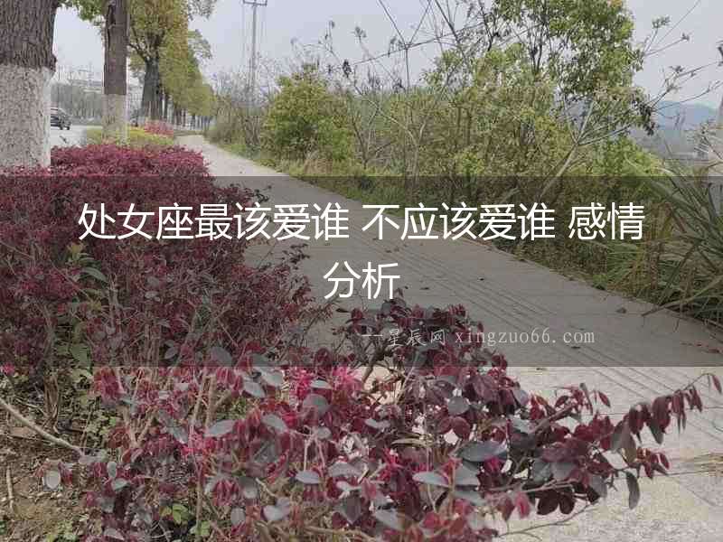 處女座最該愛(ài)誰(shuí) 不應(yīng)該愛(ài)誰(shuí) 感情分析