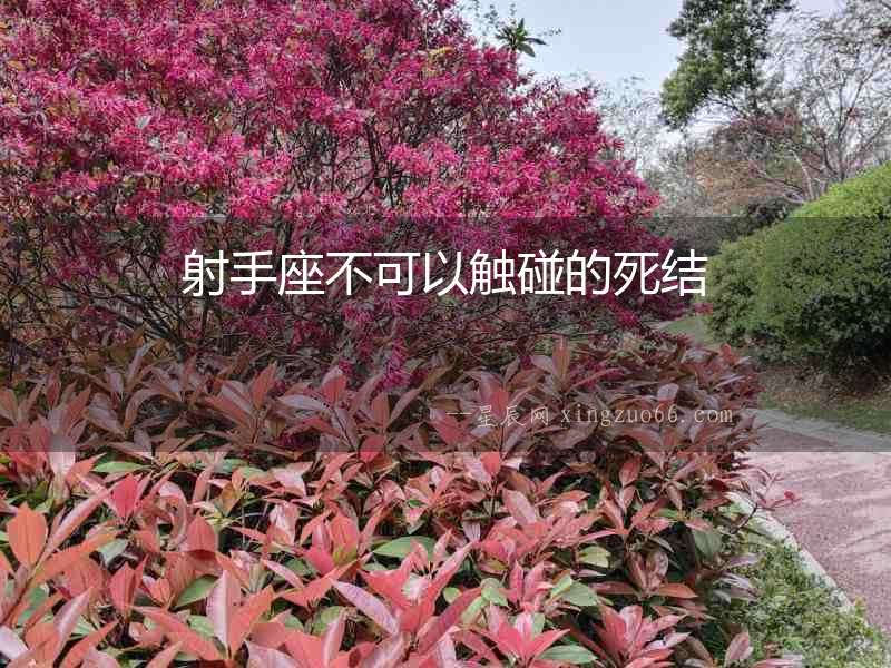 射手座不可以觸碰的死結
