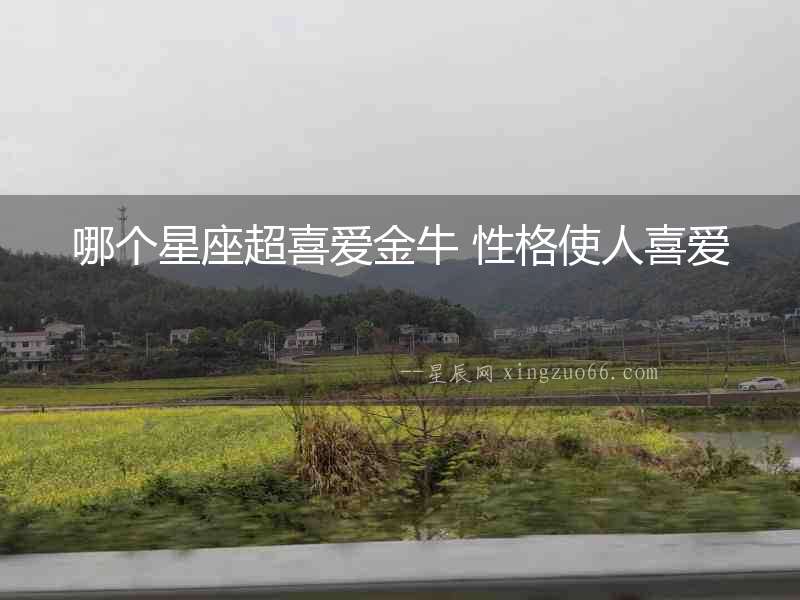 哪個(gè)星座超喜愛(ài)金牛 性格使人喜愛(ài)