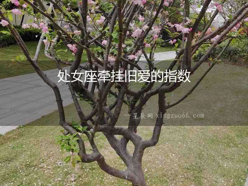 處女座牽掛舊愛的指數(shù)