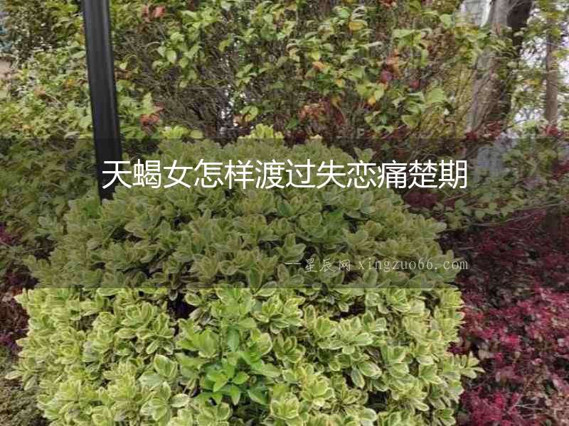 天蝎女怎樣渡過(guò)失戀痛楚期