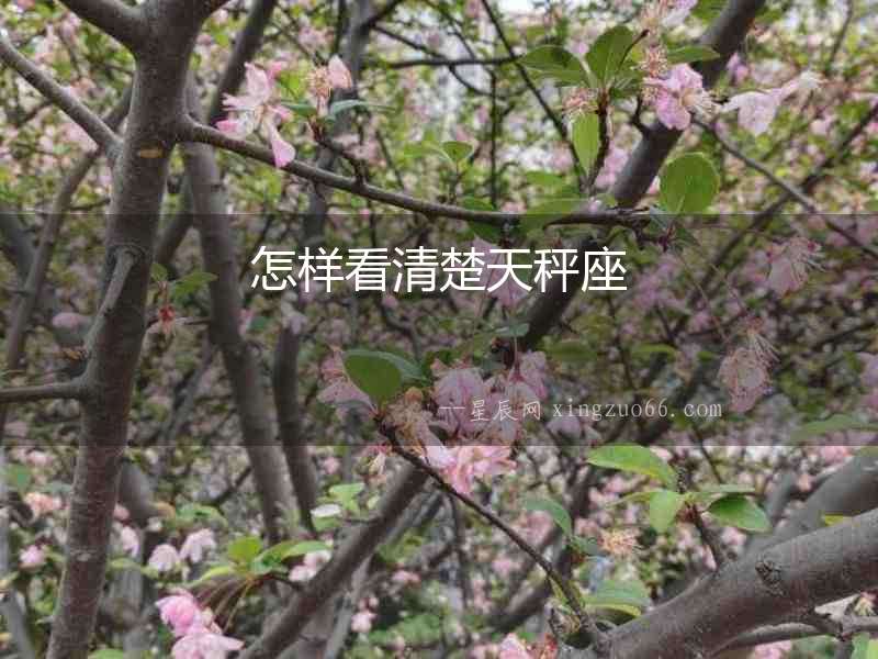 怎樣看清楚天秤座