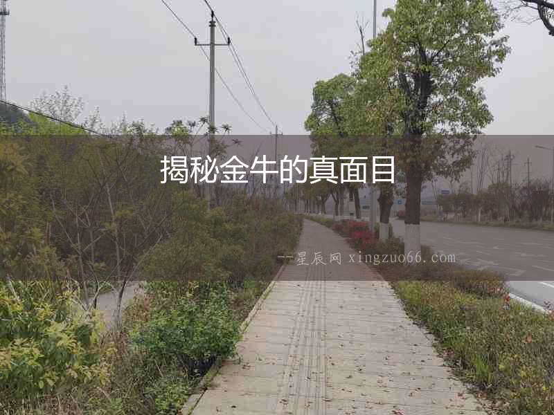 揭秘金牛的真面目