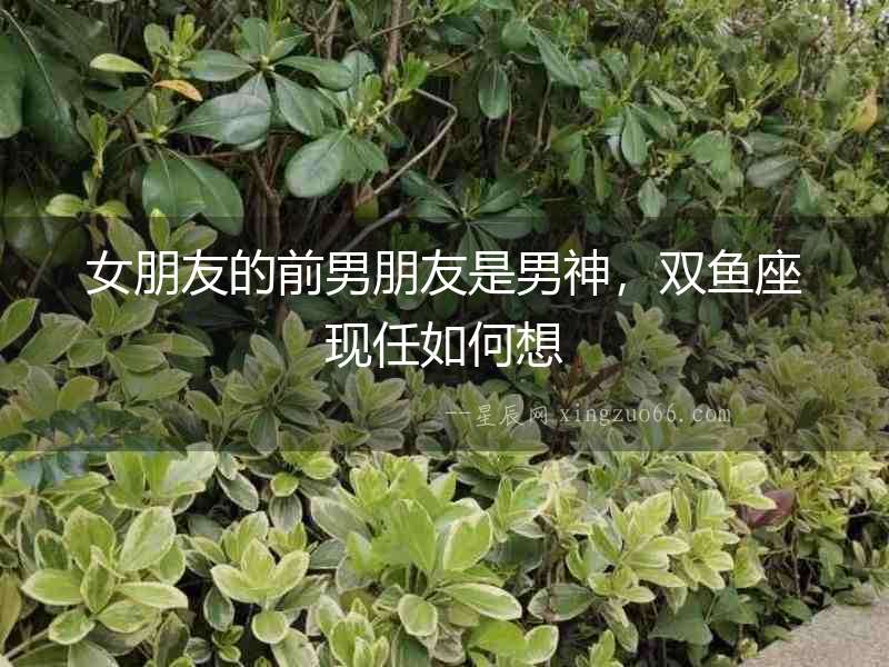 女朋友的前男朋友是男神，雙魚座現任如何想