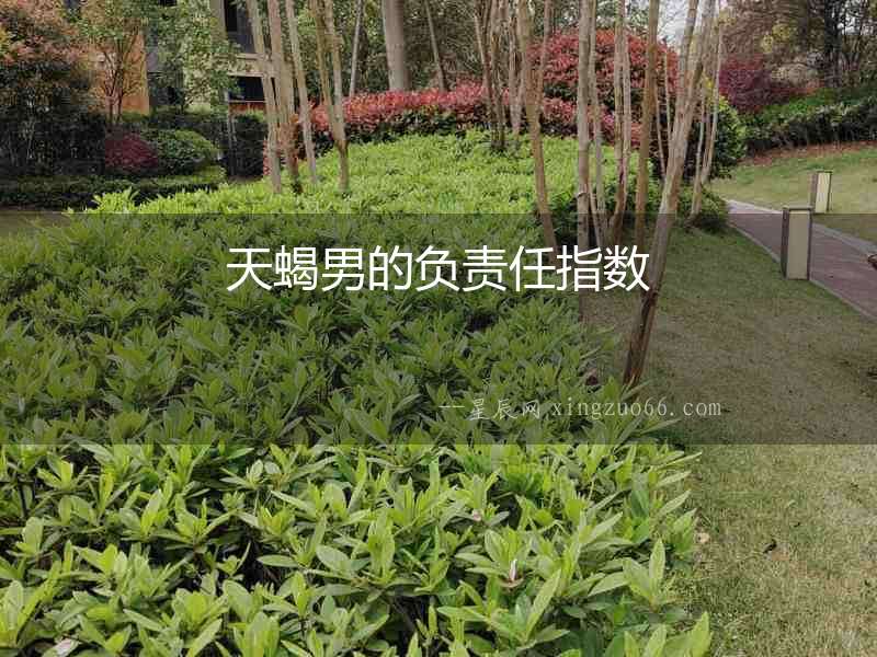 天蝎男的負(fù)責(zé)任指數(shù)