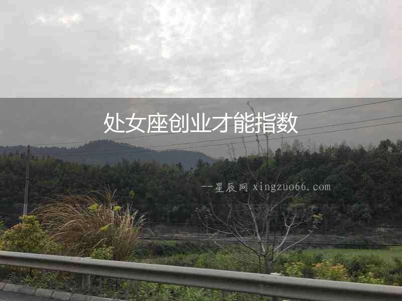 處女座創(chuàng)業(yè)才能指數(shù)