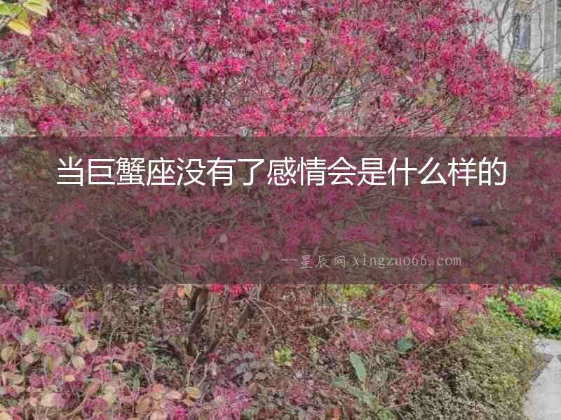 當巨蟹座沒有了感情會是什么樣的