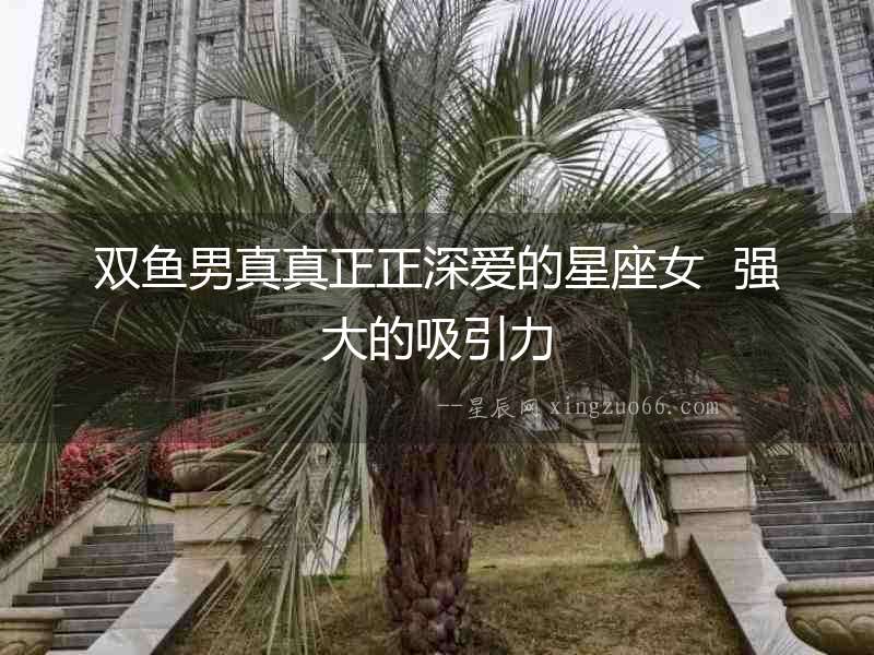 雙魚男真真正正深愛的星座女  強大的吸引力