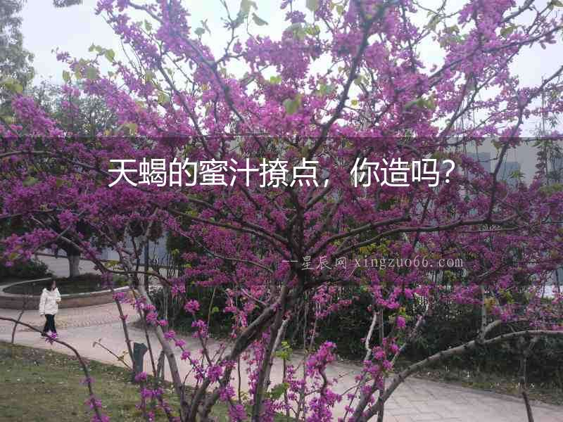 天蝎的蜜汁撩點(diǎn)，你造嗎？