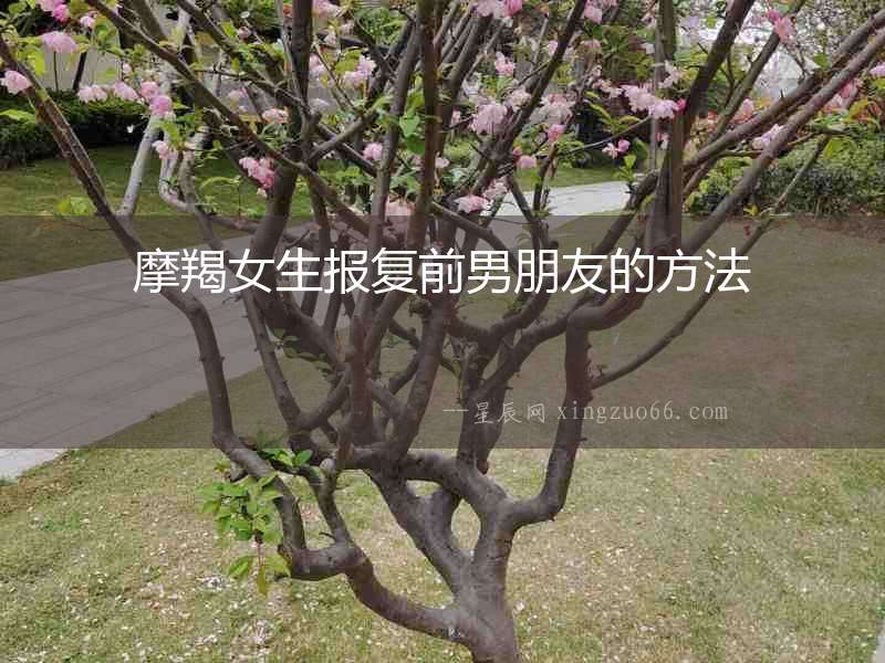 摩羯女生報(bào)復(fù)前男朋友的方法