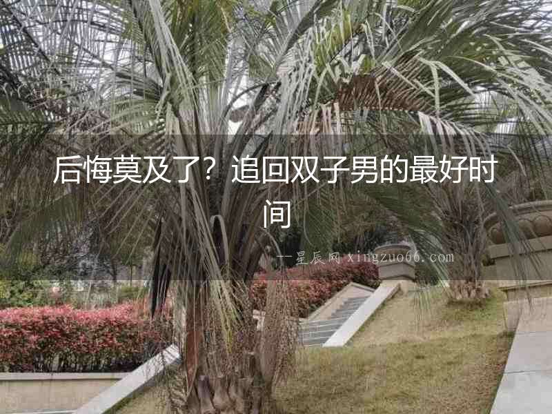 后悔莫及了？追回雙子男的最好時(shí)間