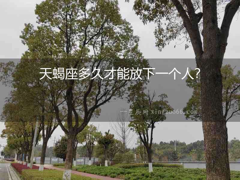 天蝎座多久才能放下一個人？