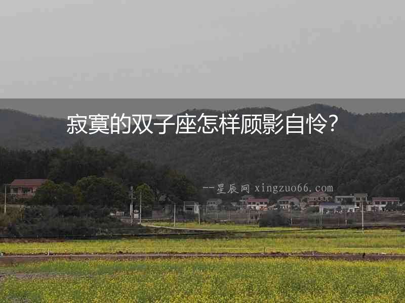 寂寞的雙子座怎樣顧影自憐？