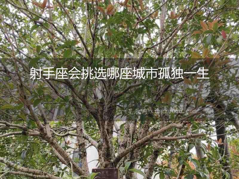射手座會(huì)挑選哪座城市孤獨(dú)一生