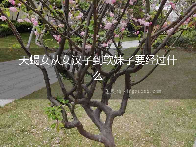 天蝎女從女漢子到軟妹子要經過什么