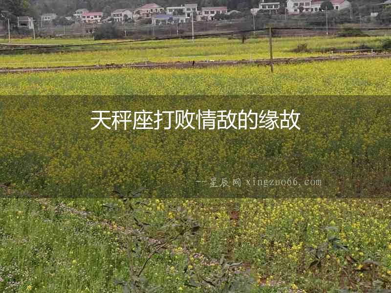 天秤座打敗情敵的緣故