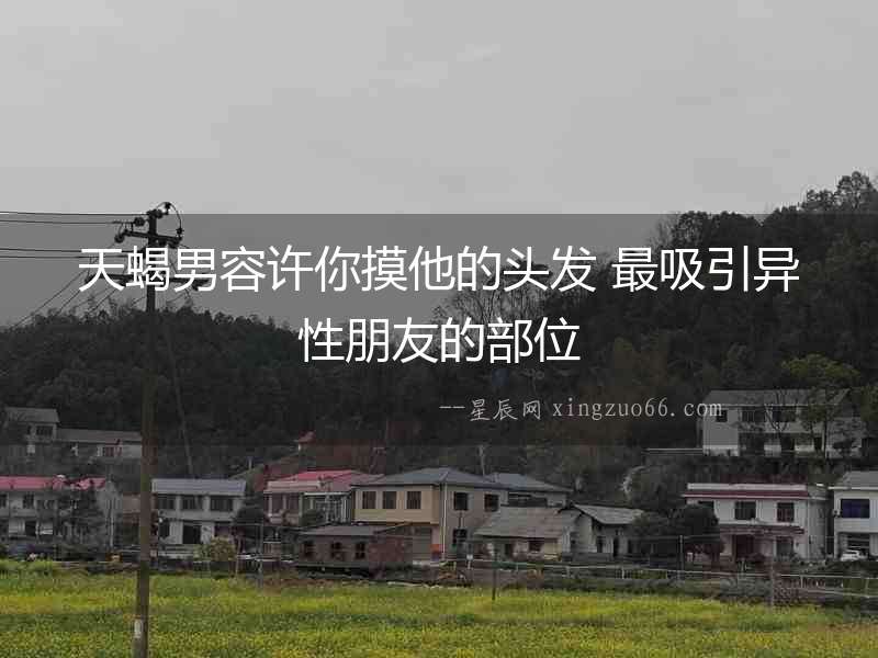 天蝎男容許你摸他的頭發(fā) 最吸引異性朋友的部位