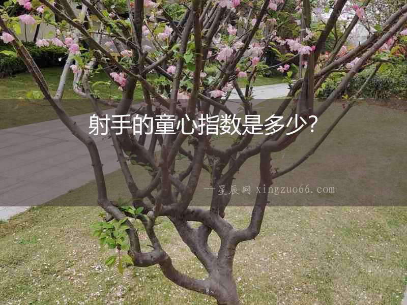 射手的童心指數(shù)是多少？